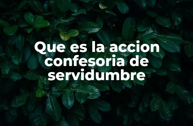 Que es la Accion Confesoria de Servidumbre