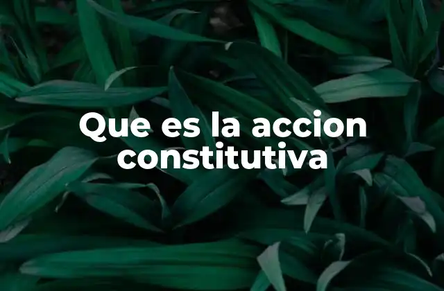 Que es la Accion Constitutiva