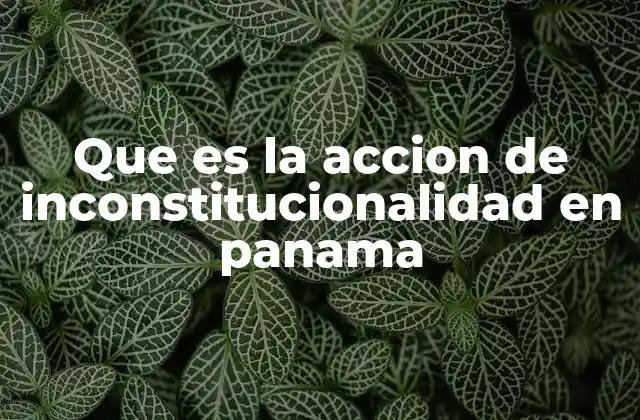 Que es la Accion de Inconstitucionalidad en Panama
