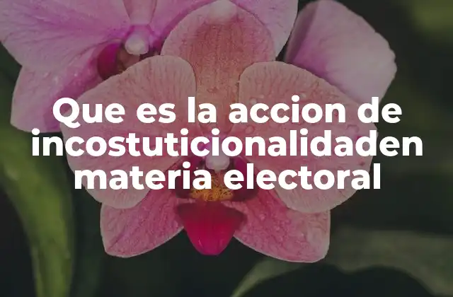 Que es la Accion de Incostuticionalidaden Materia Electoral