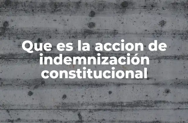 Que es la Accion de Indemnización Constitucional