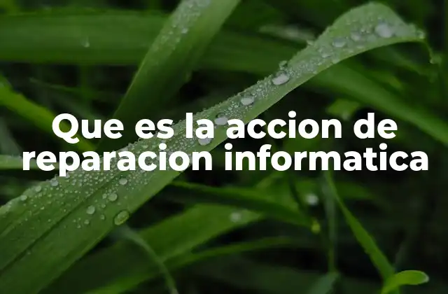 Que es la Accion de Reparacion Informatica