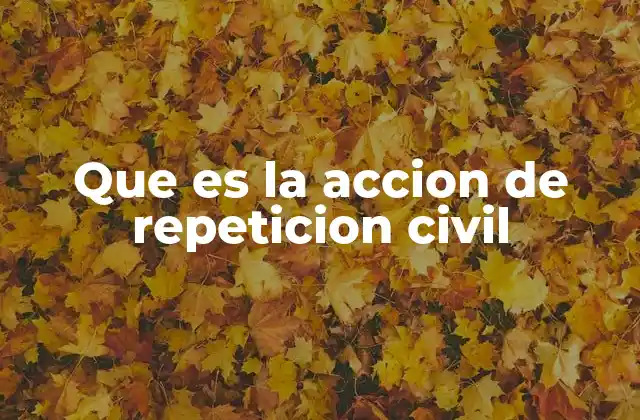 Que es la Accion de Repeticion Civil