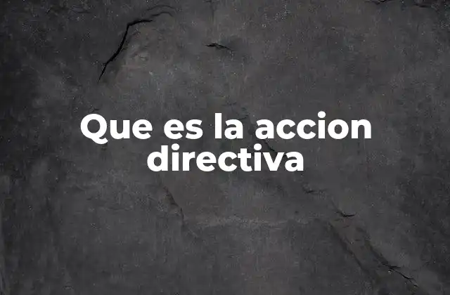 Que es la Accion Directiva