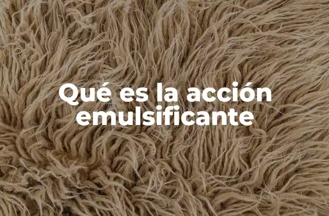 Qué es la Acción Emulsificante 2 El papel de los emulsificantes en la ciencia de los alimentos