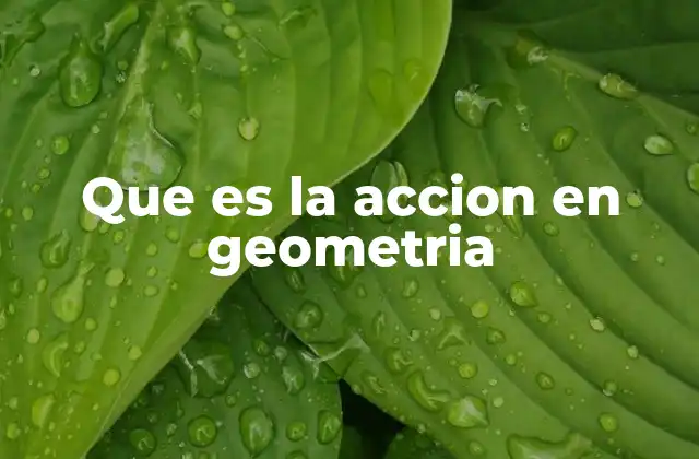 Que es la Accion en Geometria
