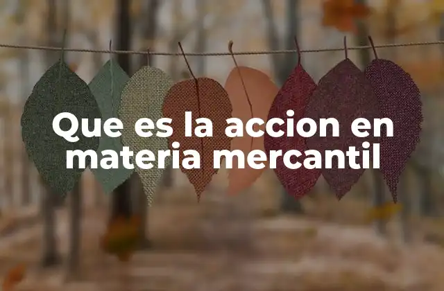 Que es la Accion en Materia Mercantil