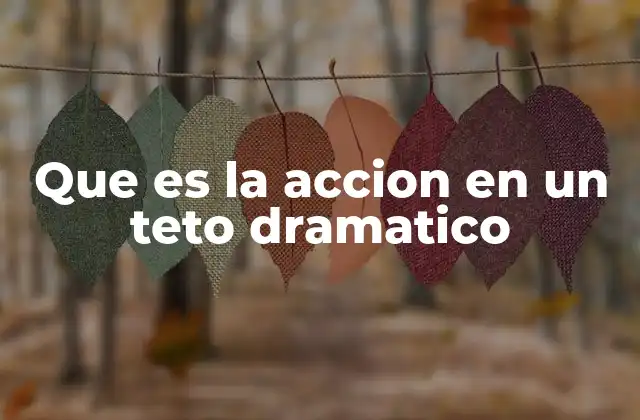 Que es la Accion en un Teto Dramatico