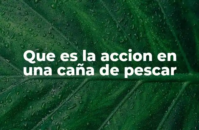 Que es la Accion en una Caña de Pescar
