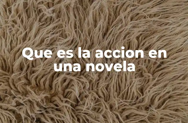 Que es la Accion en una Novela