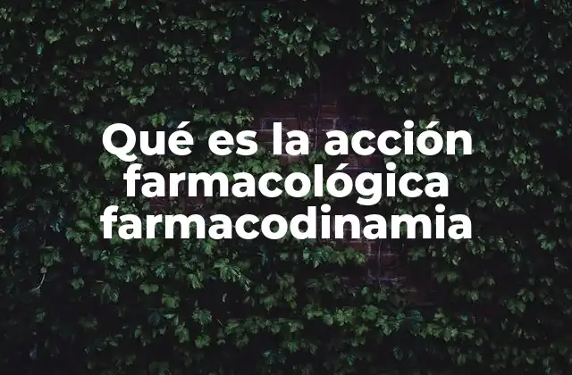 Qué es la Acción Farmacológica Farmacodinamia 2 El mecanismo detrás de los efectos terapéuticos