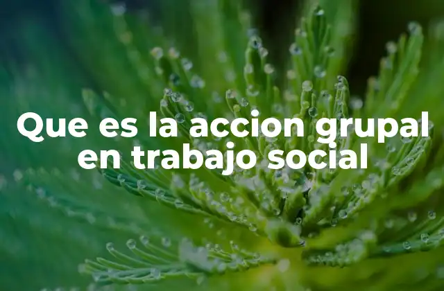 Que es la Accion Grupal en Trabajo Social