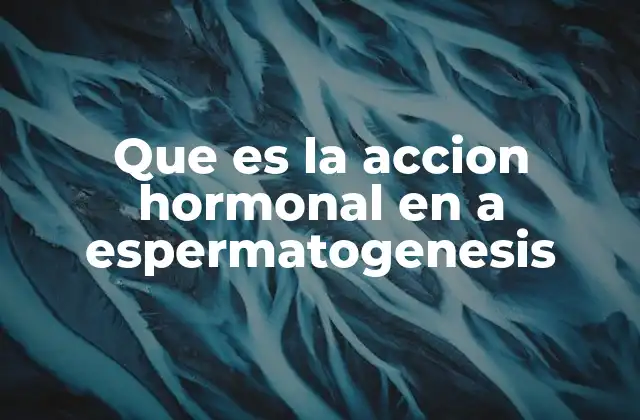 Que es la Accion Hormonal en a Espermatogenesis