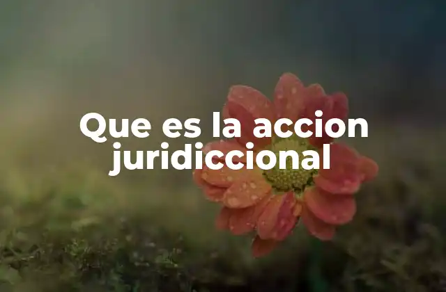Que es la Accion Juridiccional