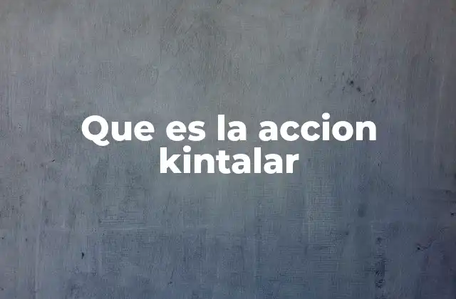 Que es la Accion Kintalar