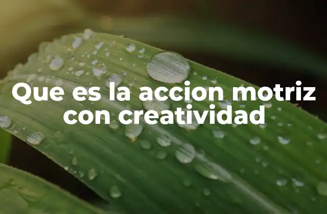 Que es la Accion Motriz con Creatividad