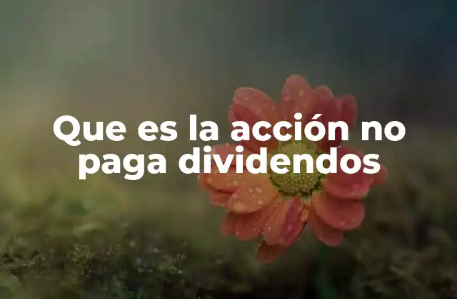 Que es la Acción No Paga Dividendos 2 Cómo funcionan las acciones que no distribuyen dividendos