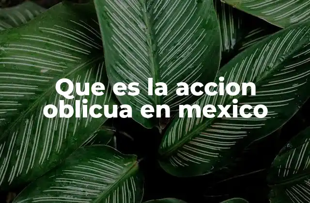 Que es la Accion Oblicua en Mexico
