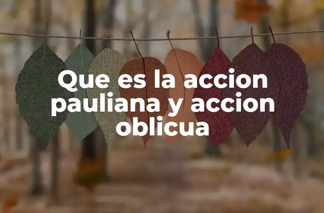 Que es la Accion Pauliana y Accion Oblicua