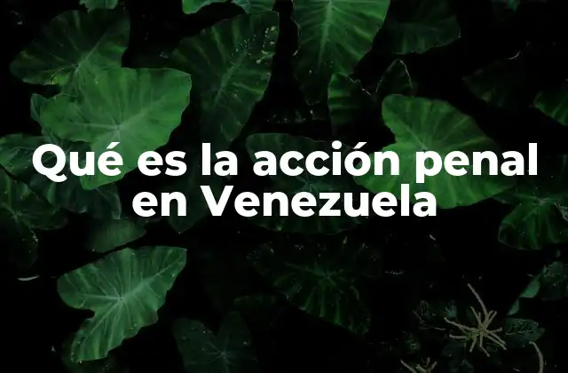 Qué es la Acción Penal en Venezuela