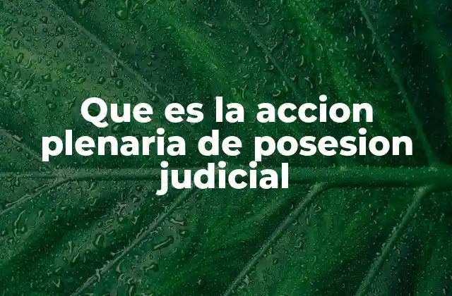 Que es la Accion Plenaria de Posesion Judicial
