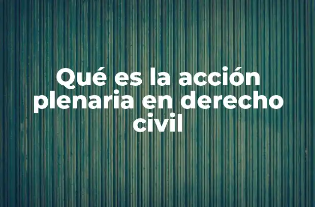 Qué es la Acción Plenaria en Derecho Civil