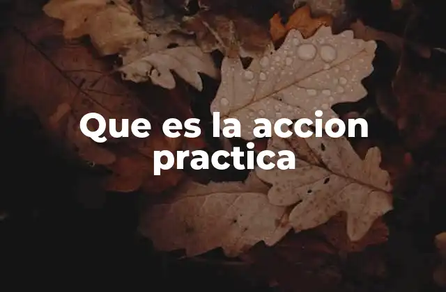 Que es la Accion Practica