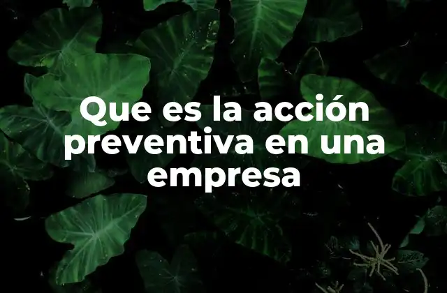 Que es la Acción Preventiva en una Empresa