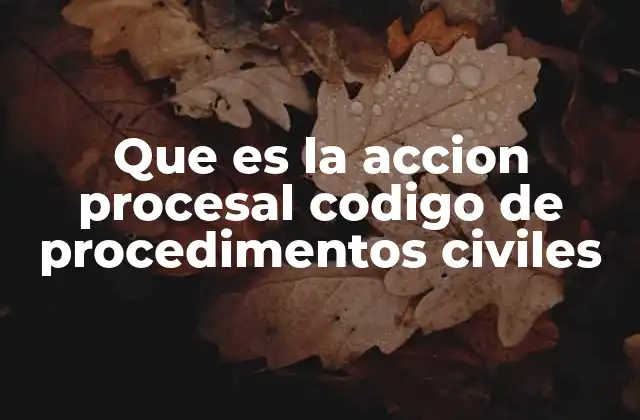 Que es la Accion Procesal Codigo de Procedimentos Civiles