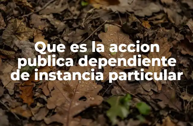 Que es la Accion Publica Dependiente de Instancia Particular