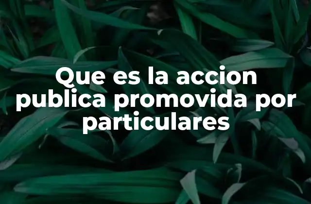 Que es la Accion Publica Promovida por Particulares