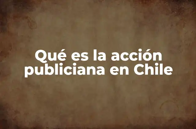 Qué es la Acción Publiciana en Chile