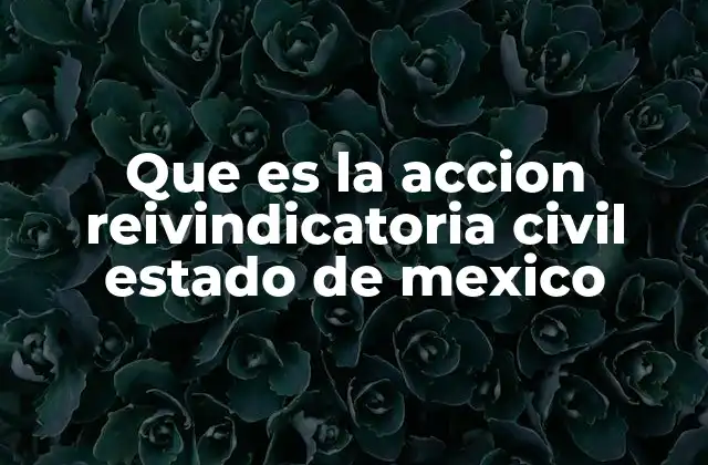 Que es la Accion Reivindicatoria Civil Estado de Mexico