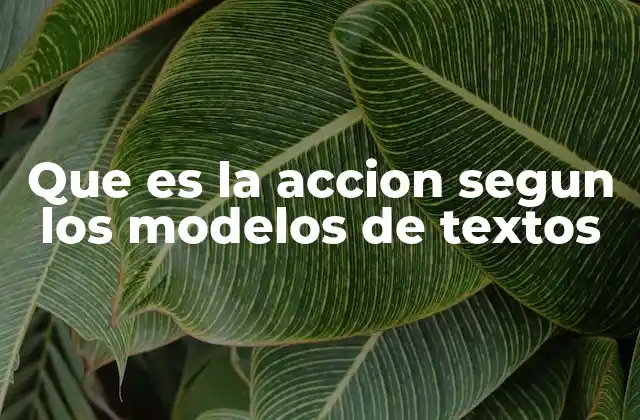 Que es la Accion Segun los Modelos de Textos
