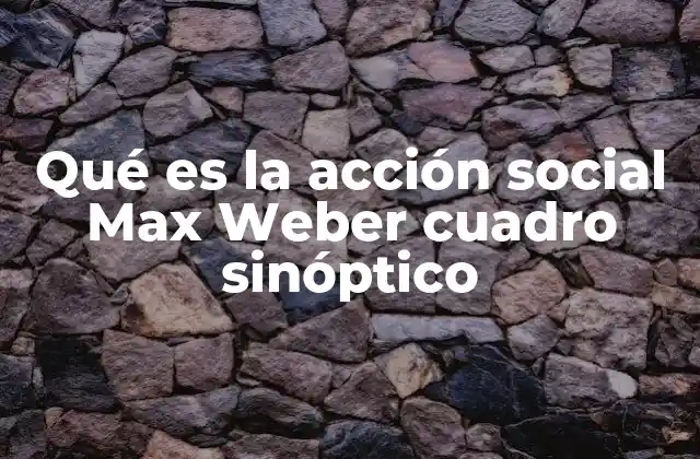 Qué es la Acción Social Max Weber Cuadro Sinóptico