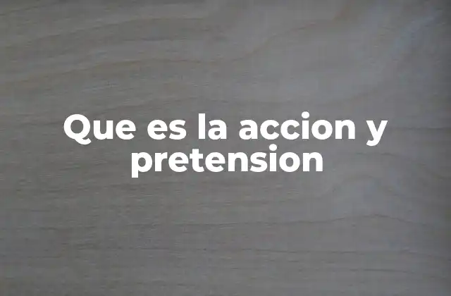 Que es la Accion y Pretension