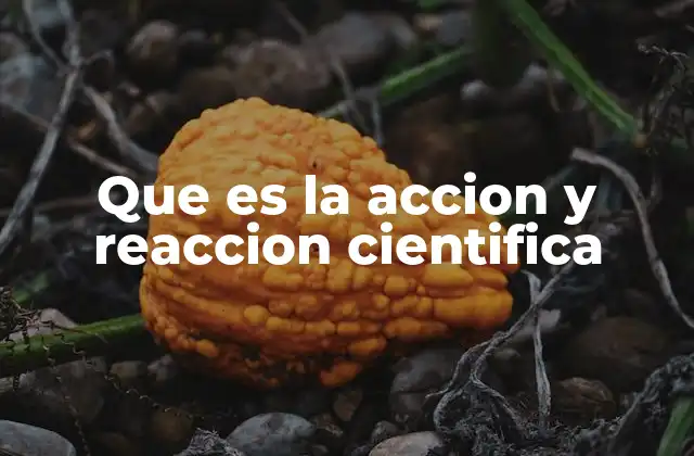 Que es la Accion y Reaccion Cientifica