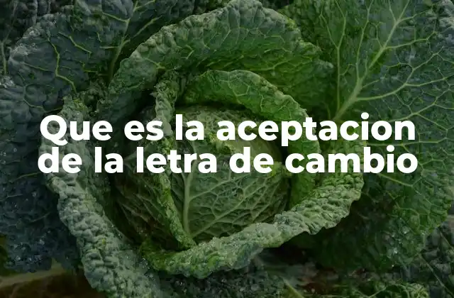 Que es la Aceptacion de la Letra de Cambio