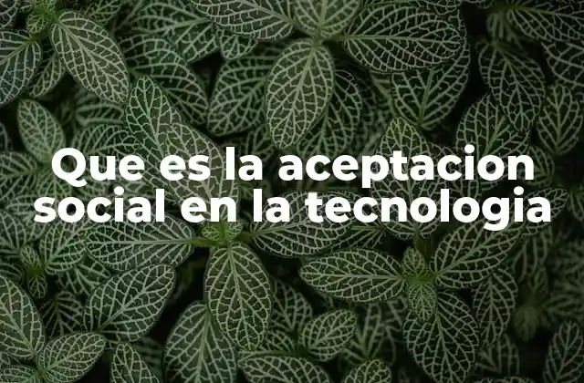 Que es la Aceptacion Social en la Tecnologia