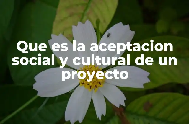 Que es la Aceptacion Social y Cultural de un Proyecto 2 La importancia de la interacción comunitaria en proyectos modernos