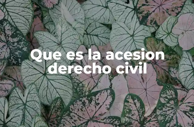 Que es la Acesion Derecho Civil