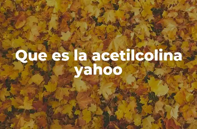 Que es la Acetilcolina Yahoo