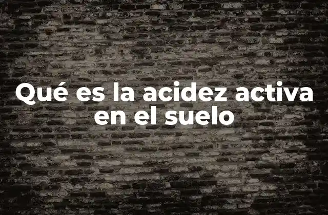 Qué es la Acidez Activa en el Suelo