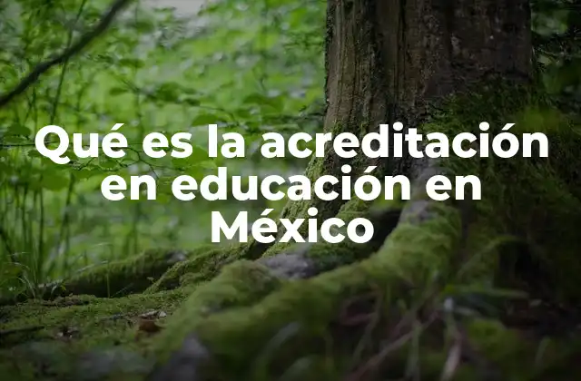 Qué es la Acreditación en Educación en México