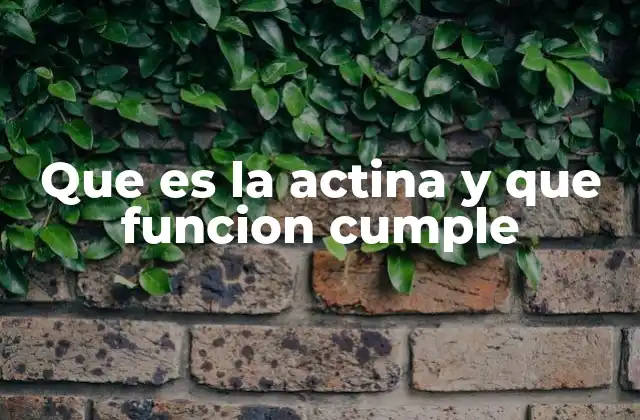 Que es la Actina y que Funcion Cumple