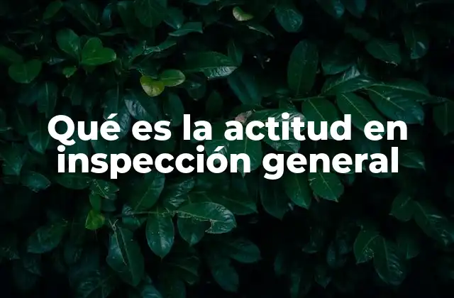 Qué es la Actitud en Inspección General