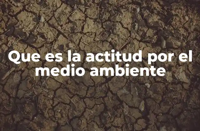 La importancia de la actitud ambiental en la sociedad moderna