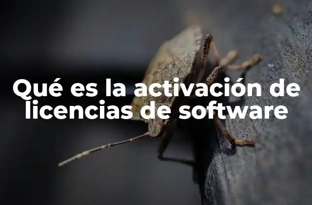 Qué es la Activación de Licencias de Software