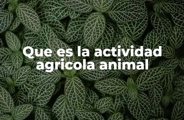 Que es la Actividad Agricola Animal
