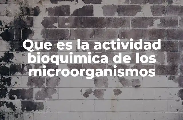 Que es la Actividad Bioquimica de los Microorganismos